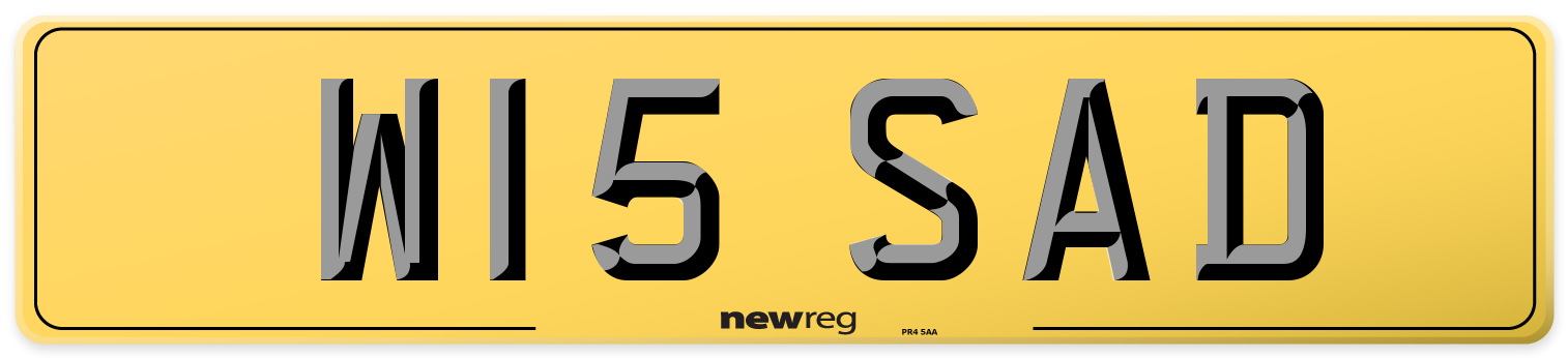 W15 SAD Rear Number Plate