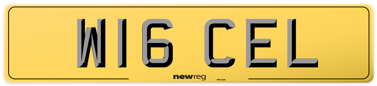 W16 CEL Rear Number Plate