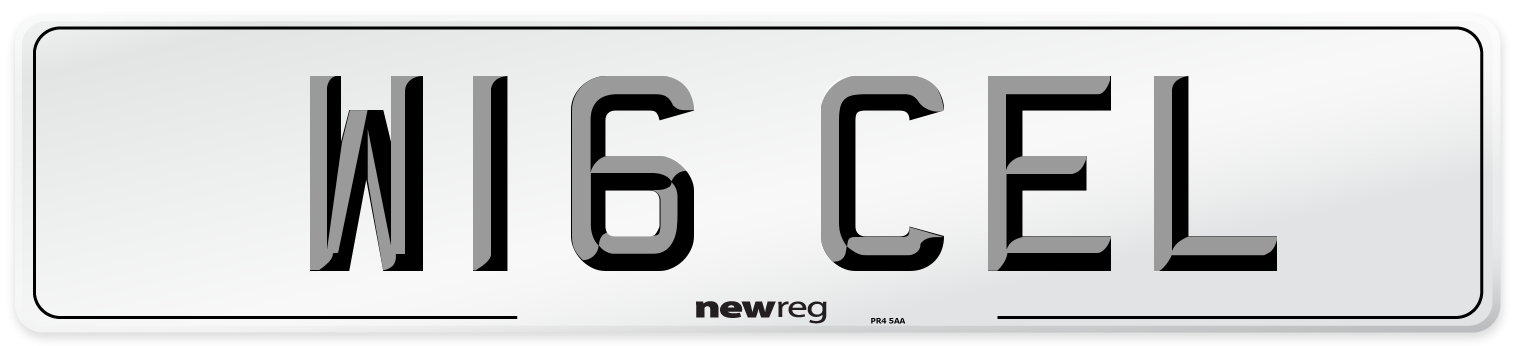 W16 CEL Front Number Plate