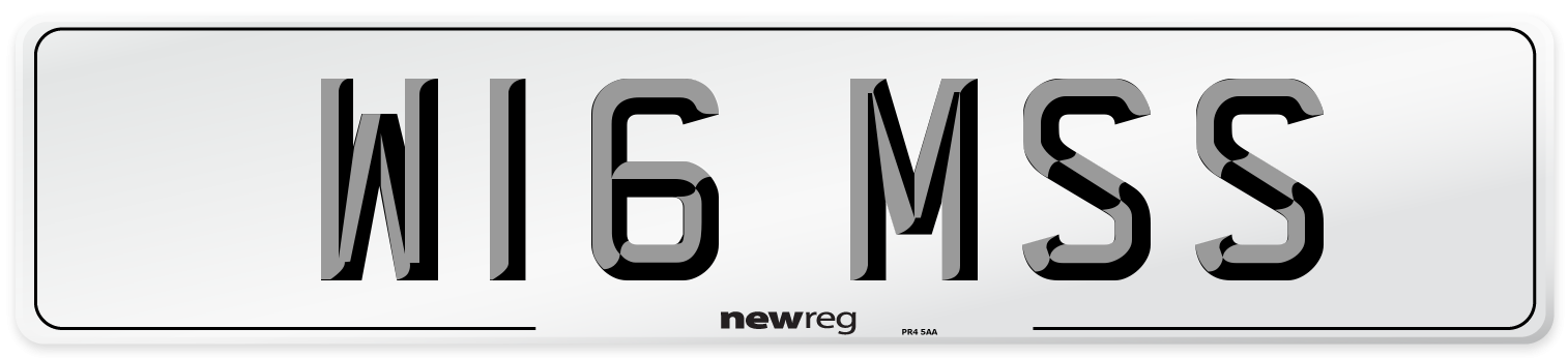 W16 MSS Front Number Plate