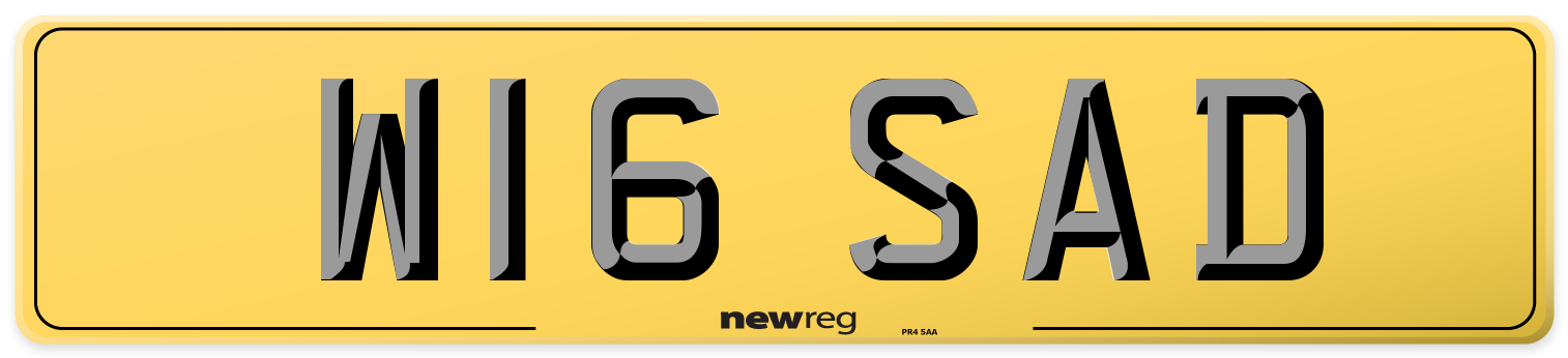 W16 SAD Rear Number Plate