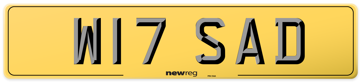W17 SAD Rear Number Plate