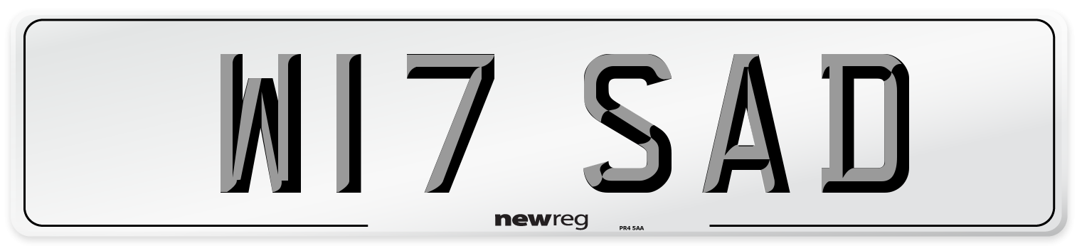 W17 SAD Front Number Plate