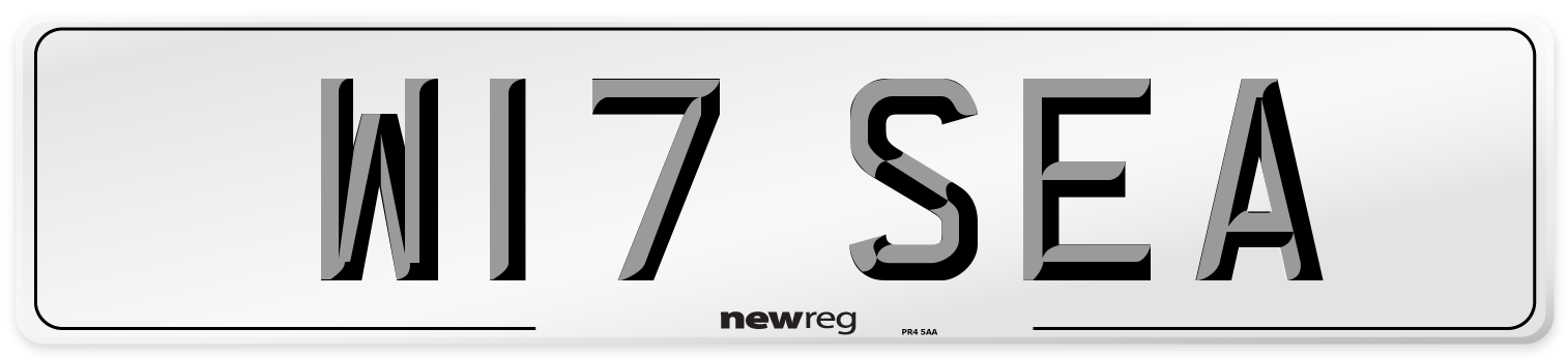W17 SEA Front Number Plate