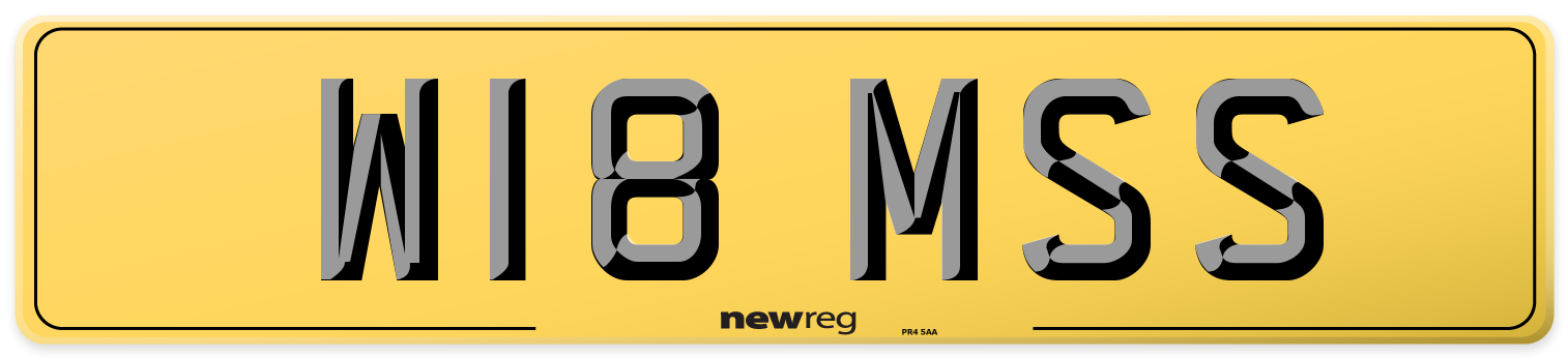 W18 MSS Rear Number Plate