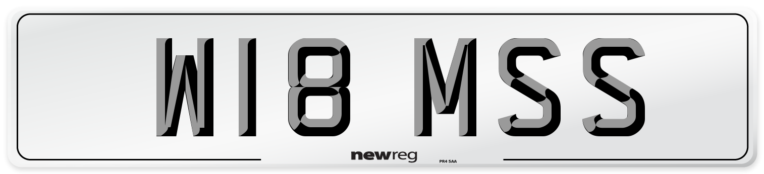 W18 MSS Front Number Plate