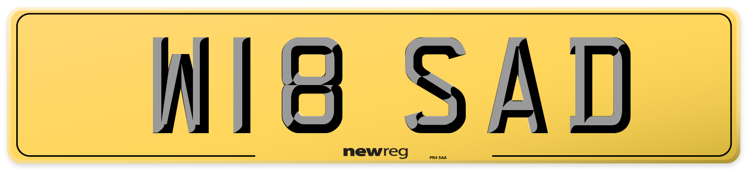 W18 SAD Rear Number Plate