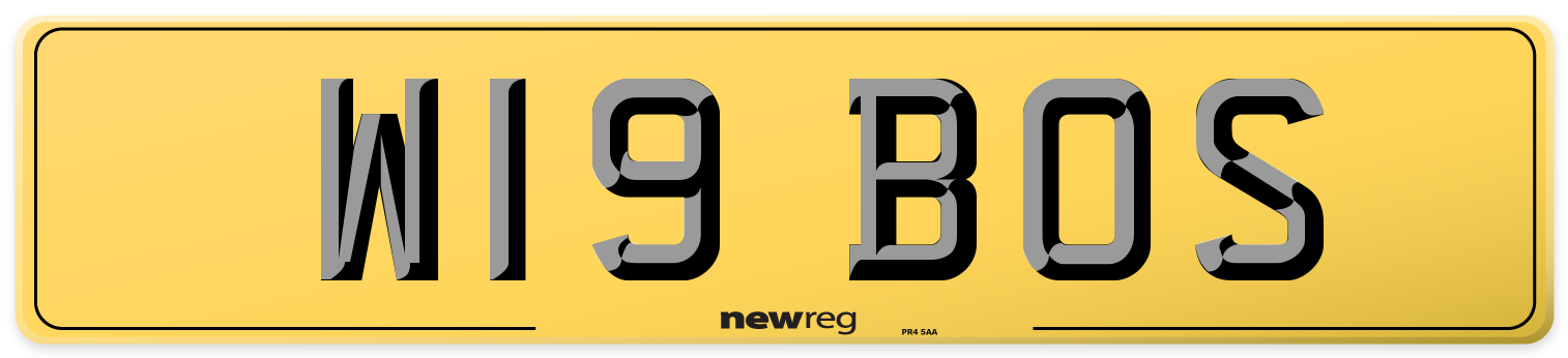 W19 BOS Rear Number Plate