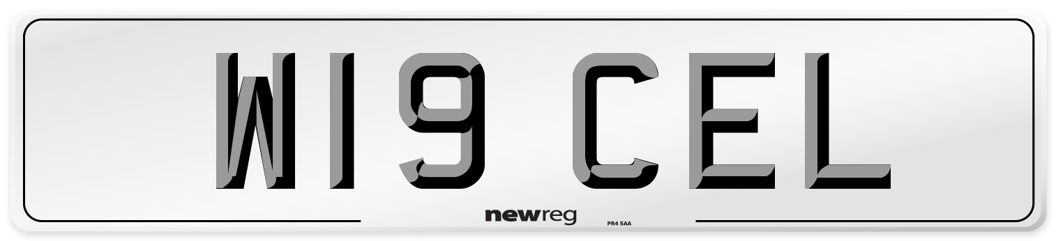 W19 CEL Front Number Plate