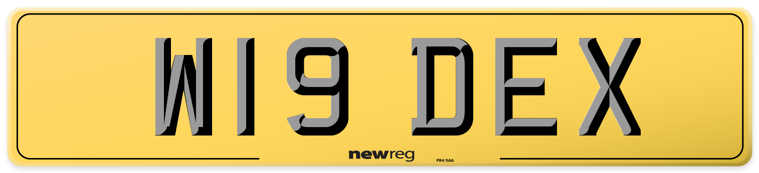W19 DEX Rear Number Plate