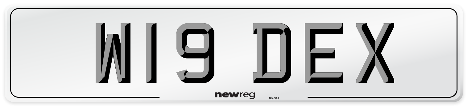 W19 DEX Front Number Plate