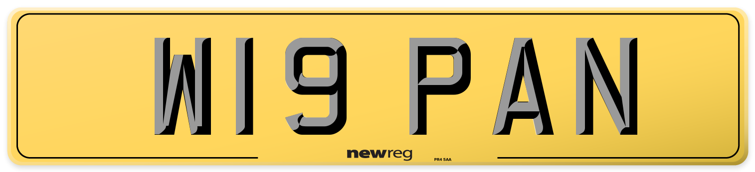 W19 PAN Rear Number Plate