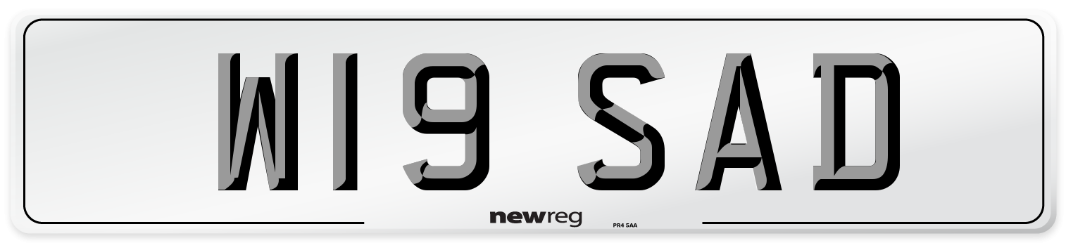W19 SAD Front Number Plate