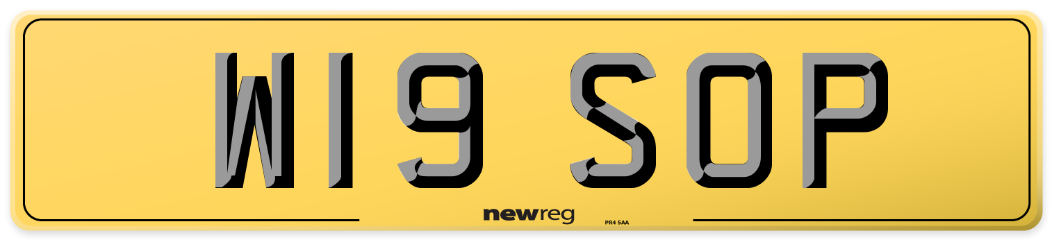 W19 SOP Rear Number Plate