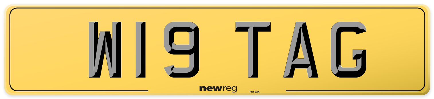 W19 TAG Rear Number Plate