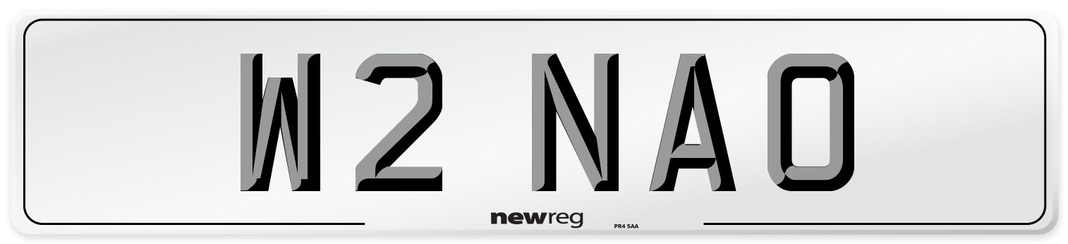 W2 NAO Front Number Plate