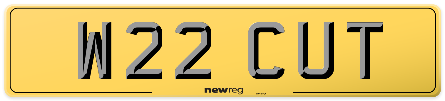 W22 CUT Rear Number Plate