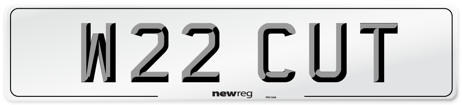 W22 CUT Front Number Plate