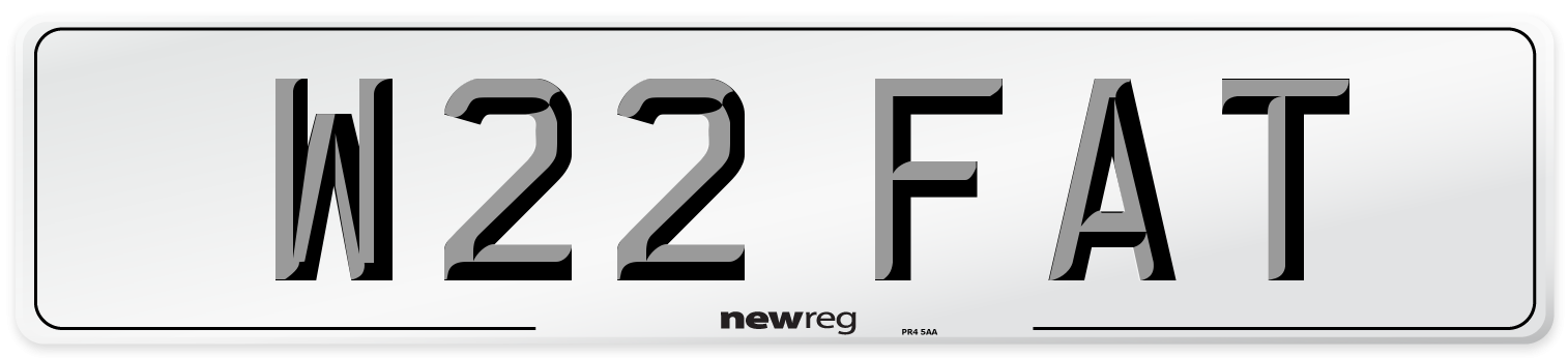 W22 FAT Front Number Plate