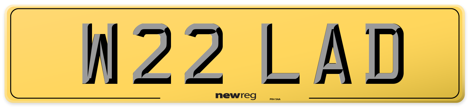 W22 LAD Rear Number Plate