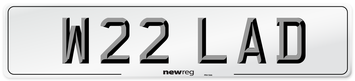 W22 LAD Front Number Plate