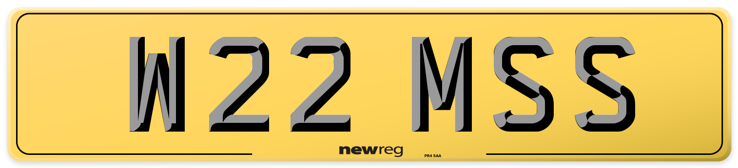 W22 MSS Rear Number Plate