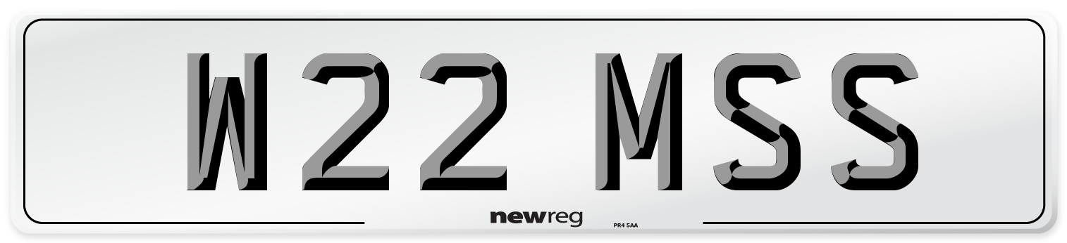W22 MSS Front Number Plate