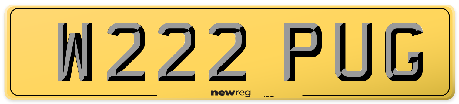 W222 PUG Rear Number Plate