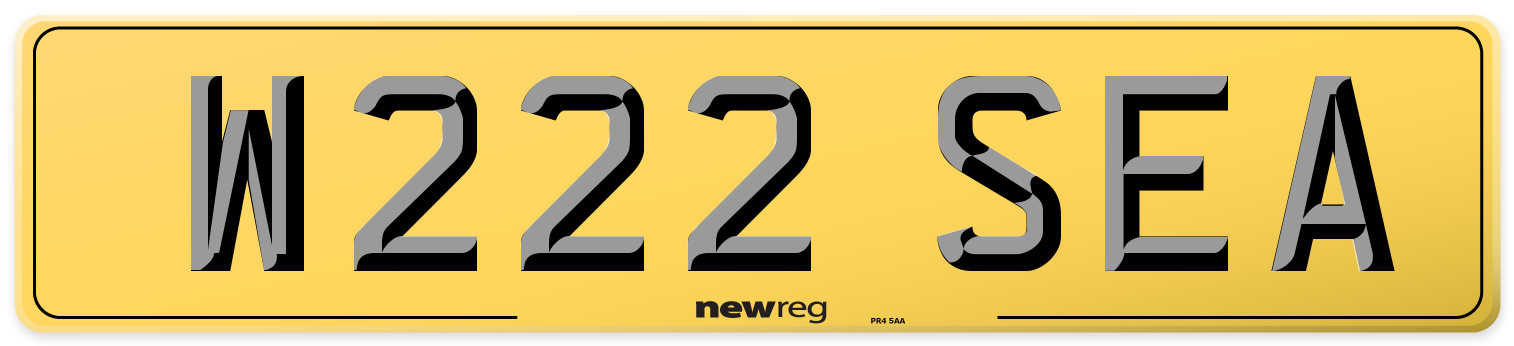 W222 SEA Rear Number Plate