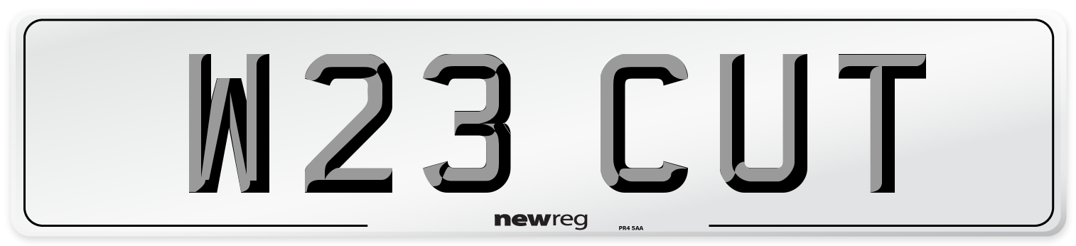 W23 CUT Front Number Plate