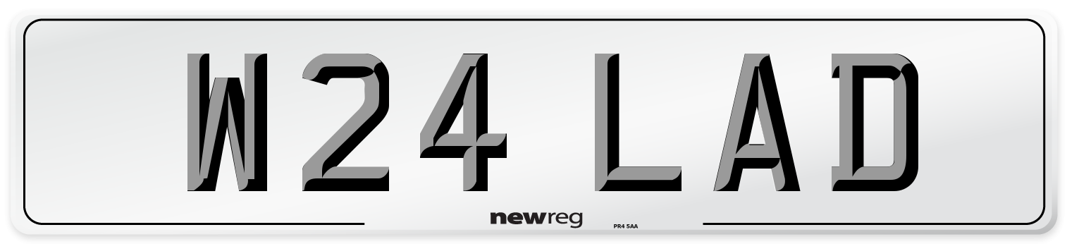 W24 LAD Front Number Plate