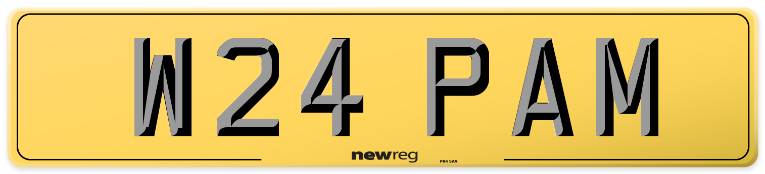 W24 PAM Rear Number Plate