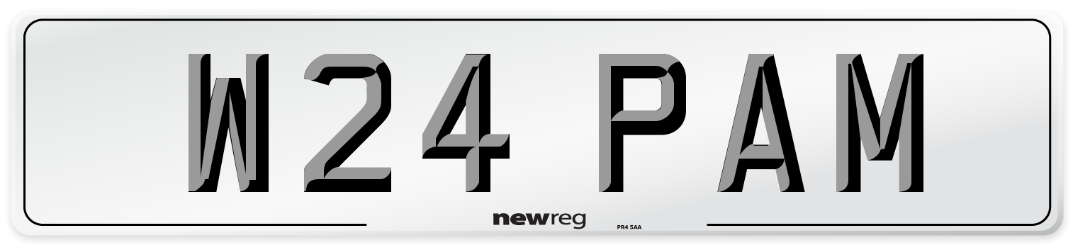 W24 PAM Front Number Plate
