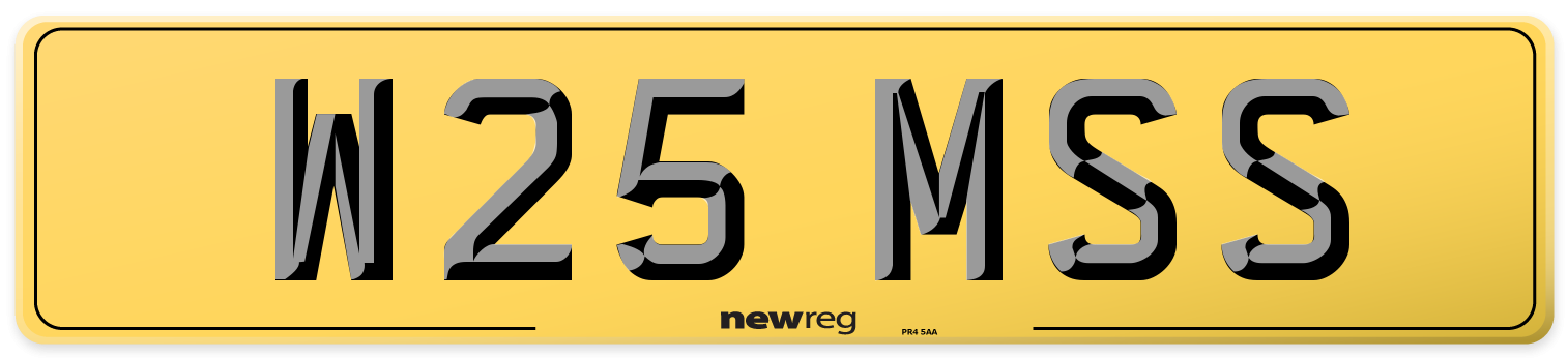 W25 MSS Rear Number Plate