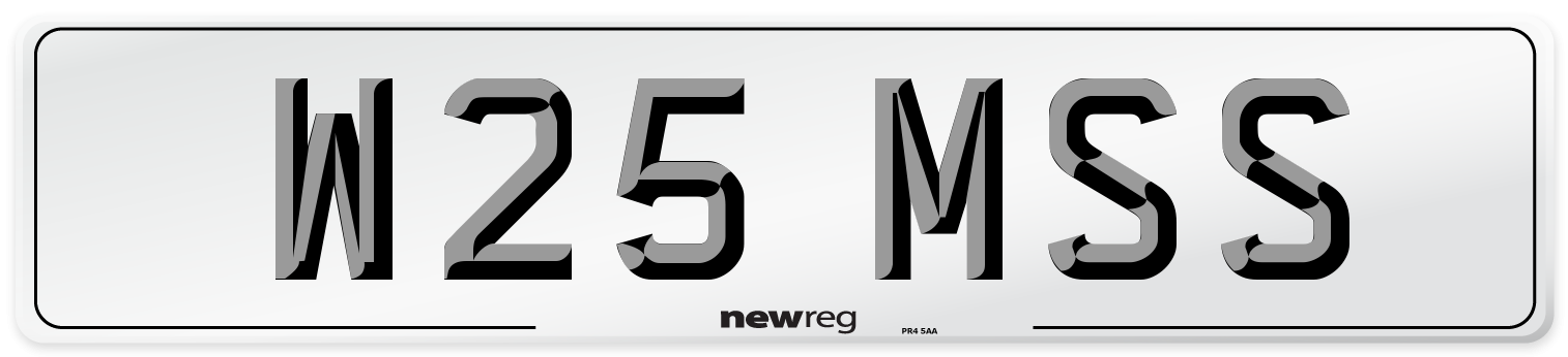 W25 MSS Front Number Plate