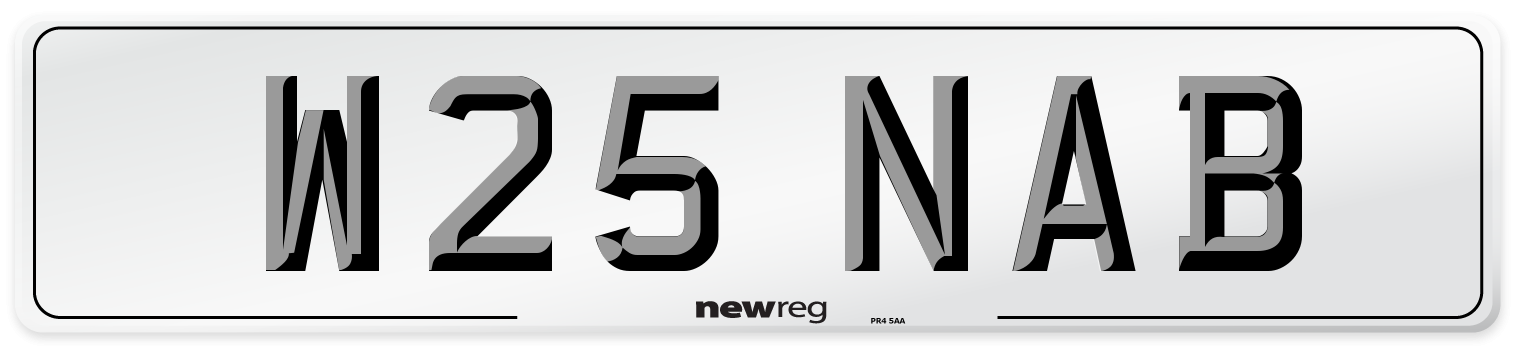 W25 NAB Front Number Plate
