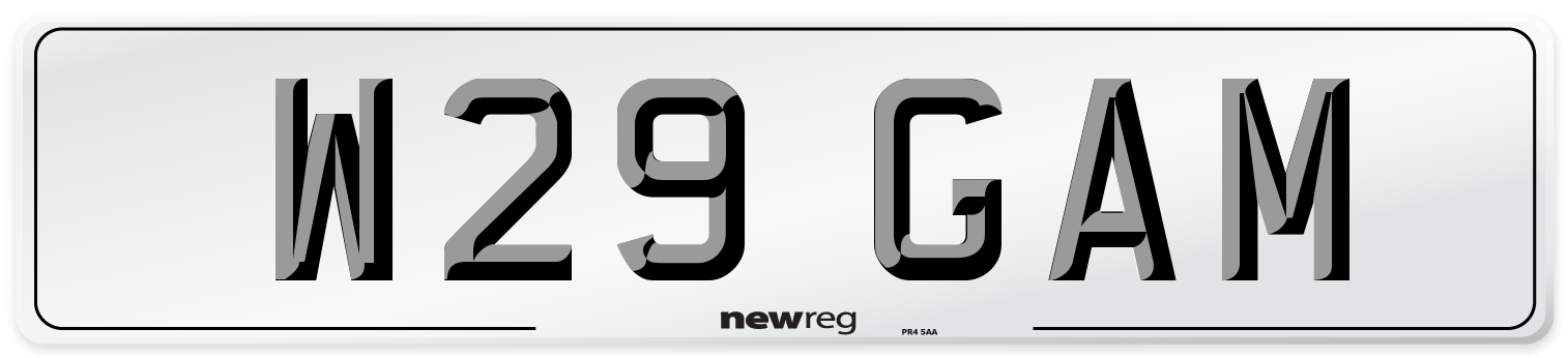 W29 GAM Front Number Plate