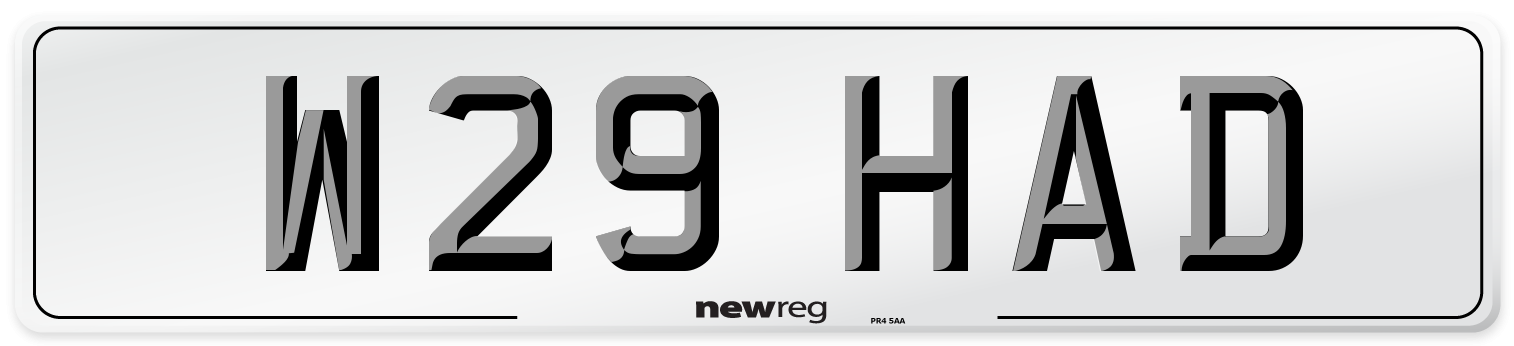 W29 HAD Front Number Plate