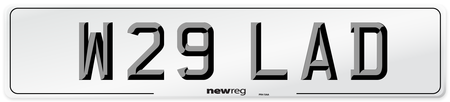 W29 LAD Front Number Plate