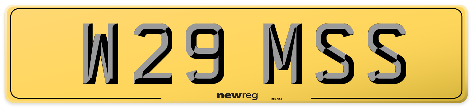 W29 MSS Rear Number Plate