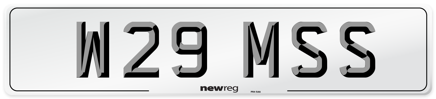 W29 MSS Front Number Plate