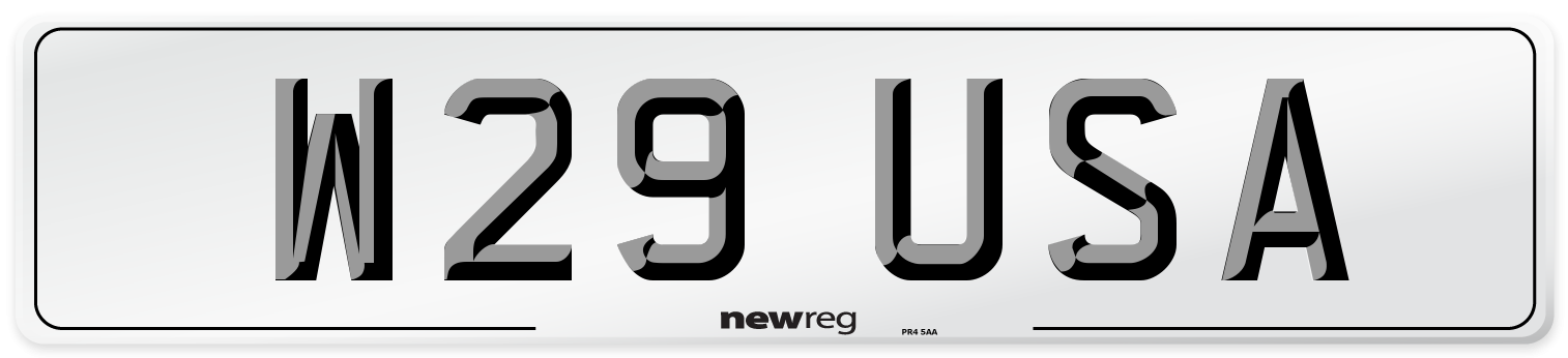 W29 USA Front Number Plate