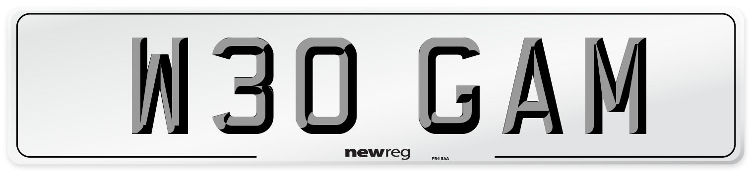 W30 GAM Front Number Plate