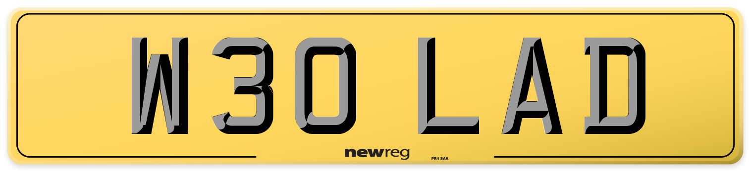 W30 LAD Rear Number Plate