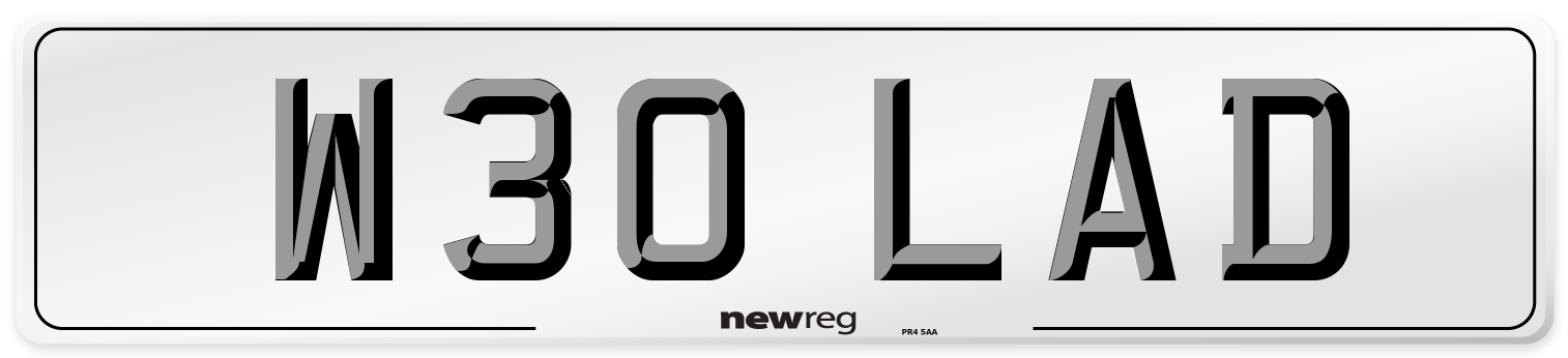 W30 LAD Front Number Plate