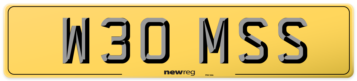 W30 MSS Rear Number Plate