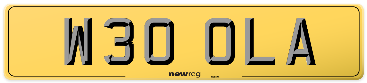 W30 OLA Rear Number Plate