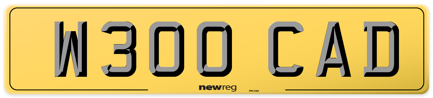 W300 CAD Rear Number Plate