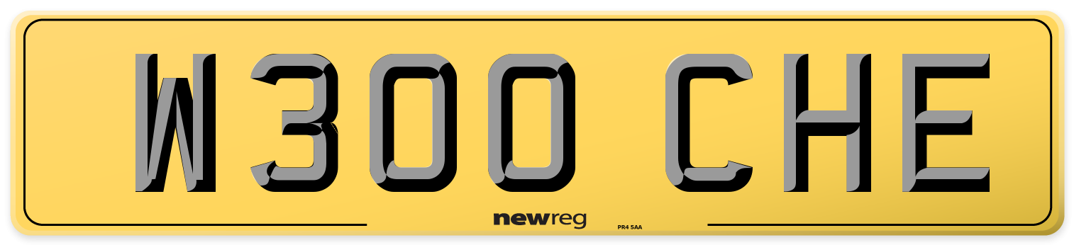 W300 CHE Rear Number Plate