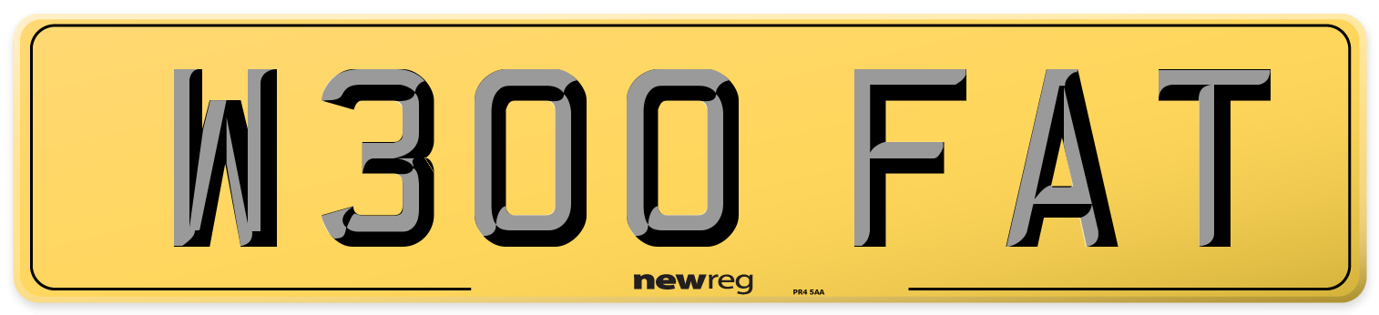 W300 FAT Rear Number Plate